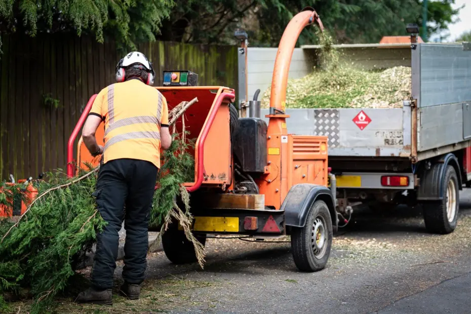 An arborist chipping tree branches